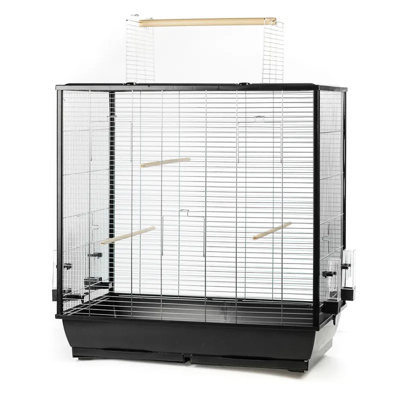 Zertifiziert Ollesch Vogelheim Fiona 78 x 48 x 82 cm